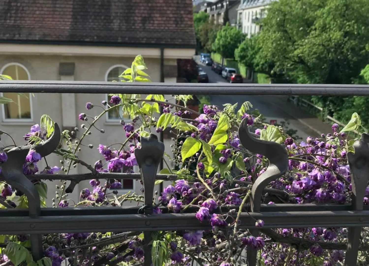 Apartment The B Bern 0*,  Schweiz